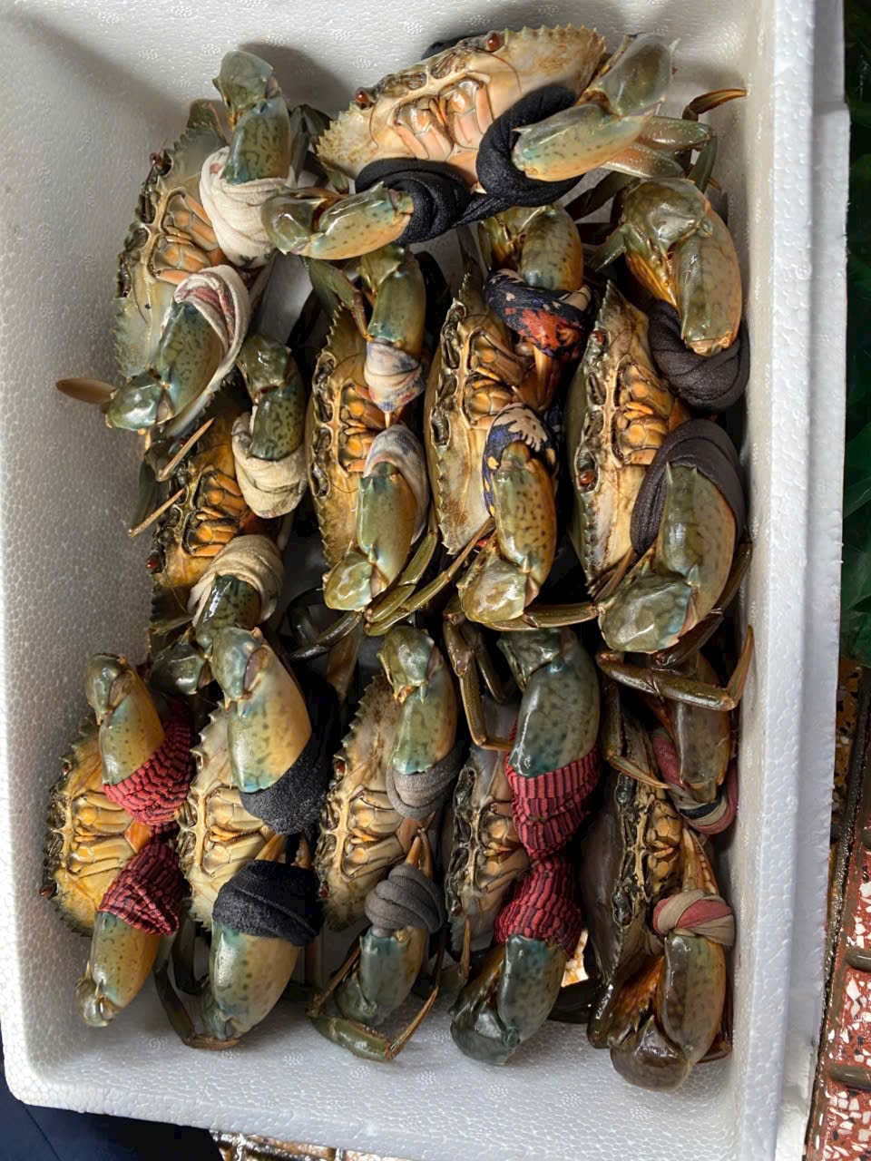 cua biển