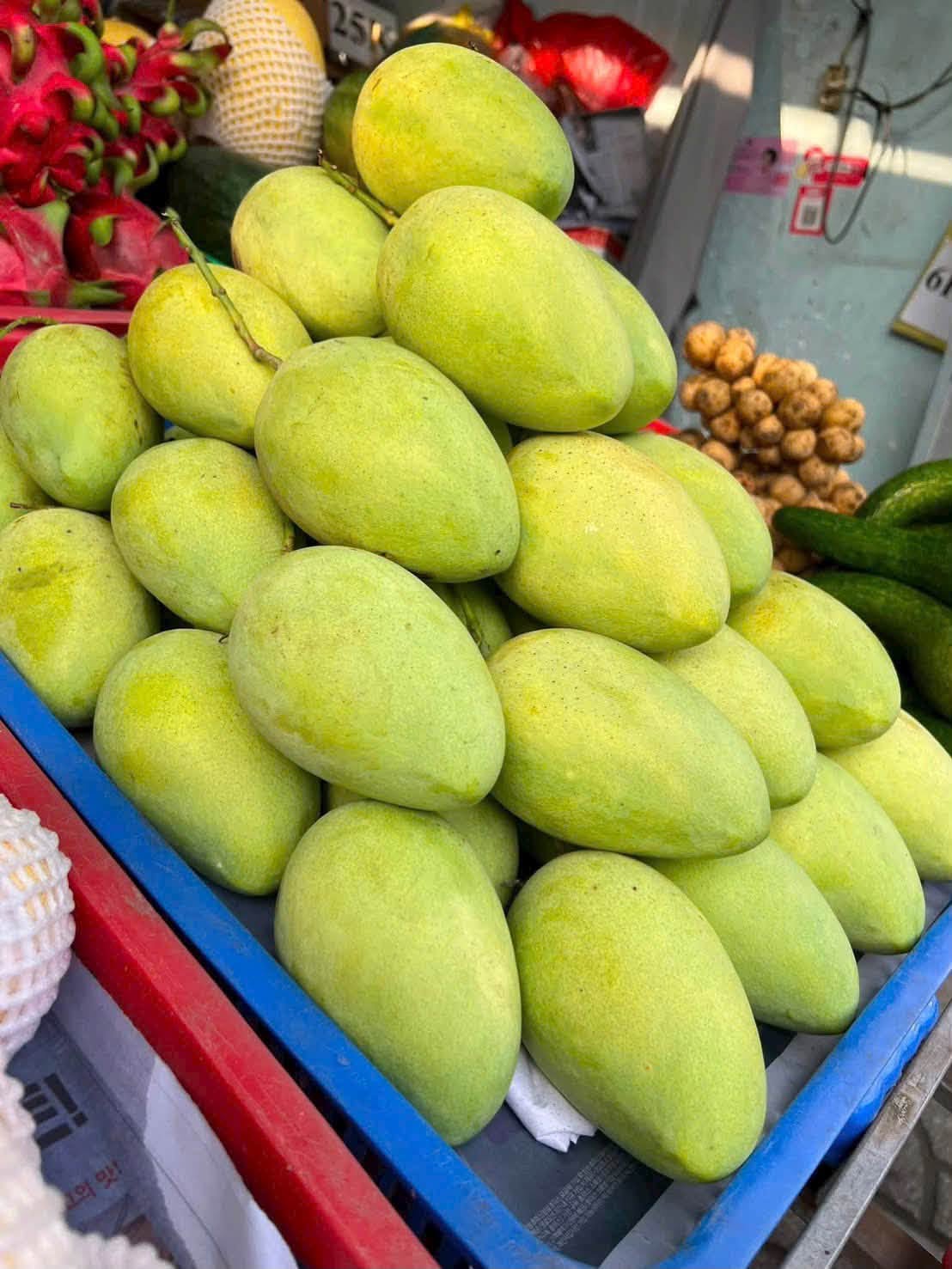  xoài keo