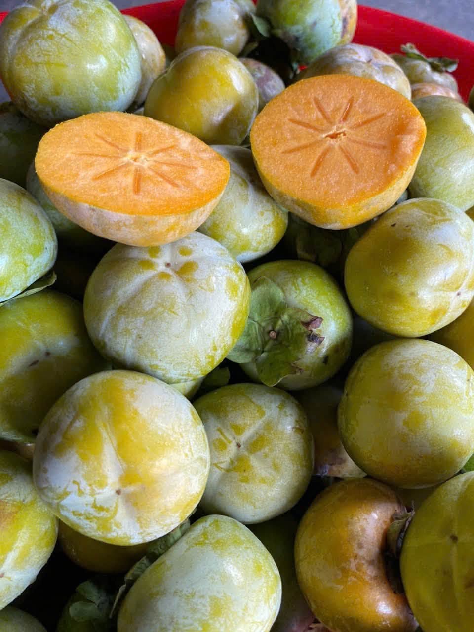 bảo quản mít