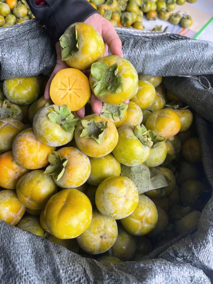 bảo quản mít
