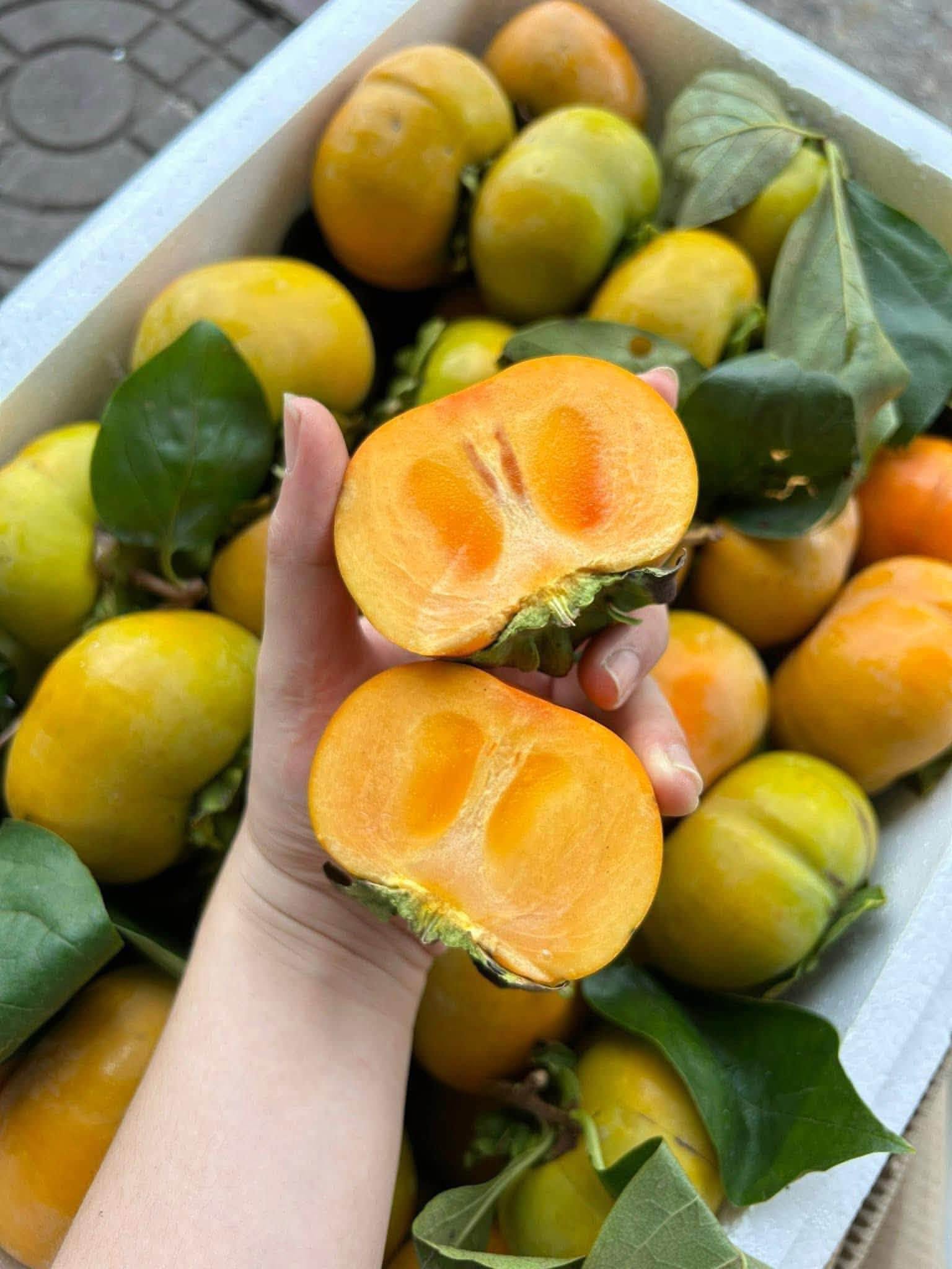 hồng giòn