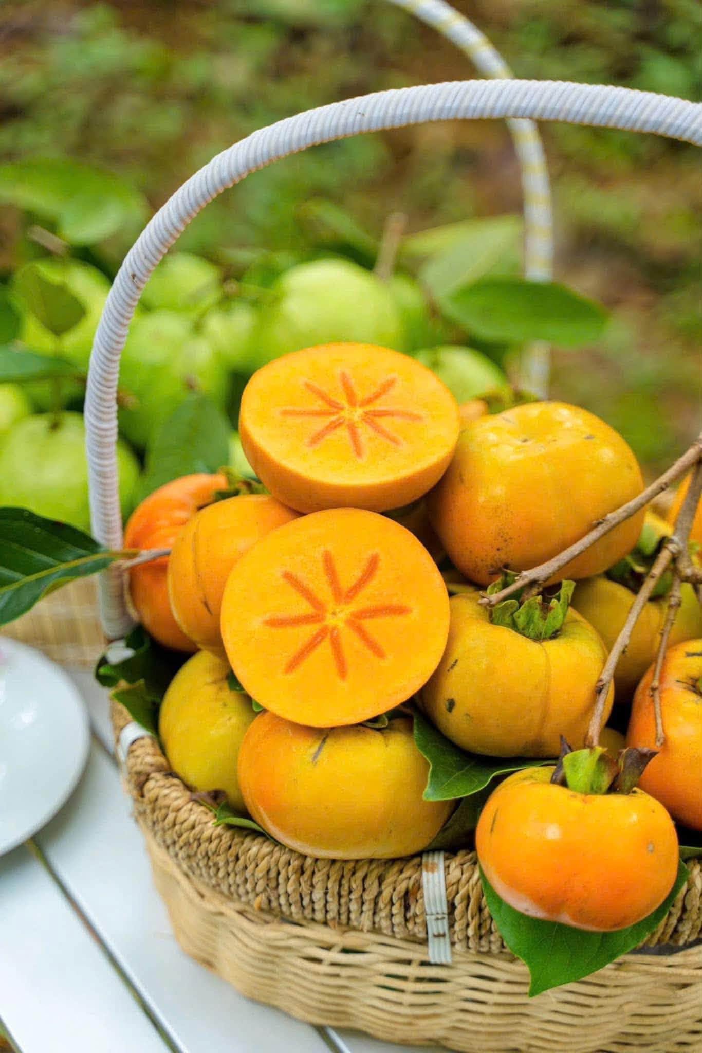 hồng giòn
