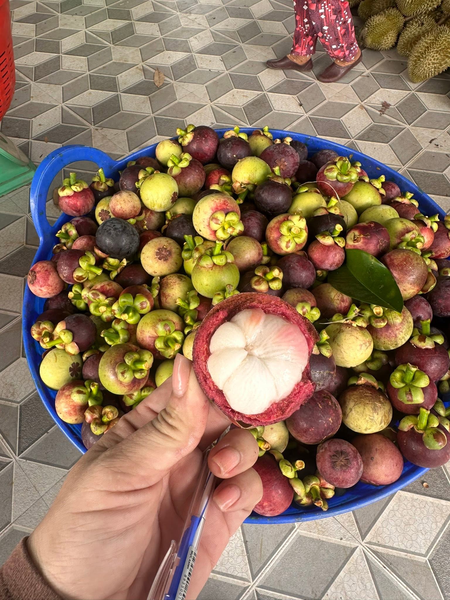 măng cụt
