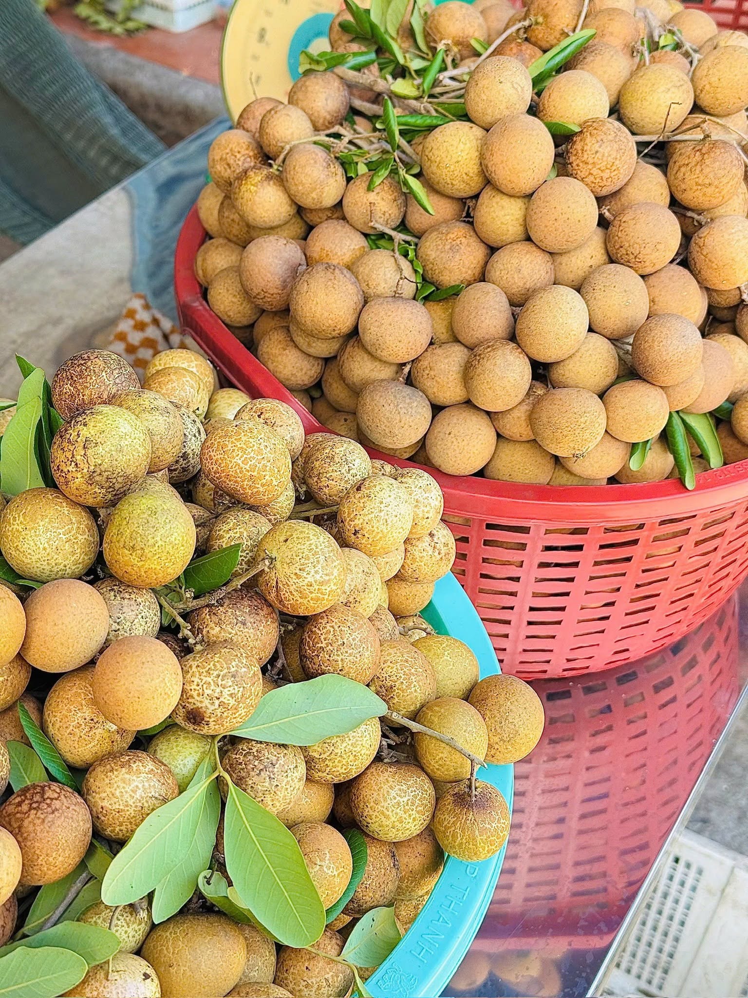 nhan xuồng tiền giang