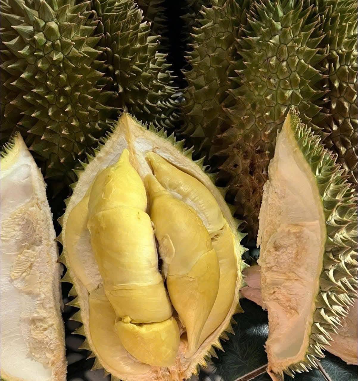 sau rieng