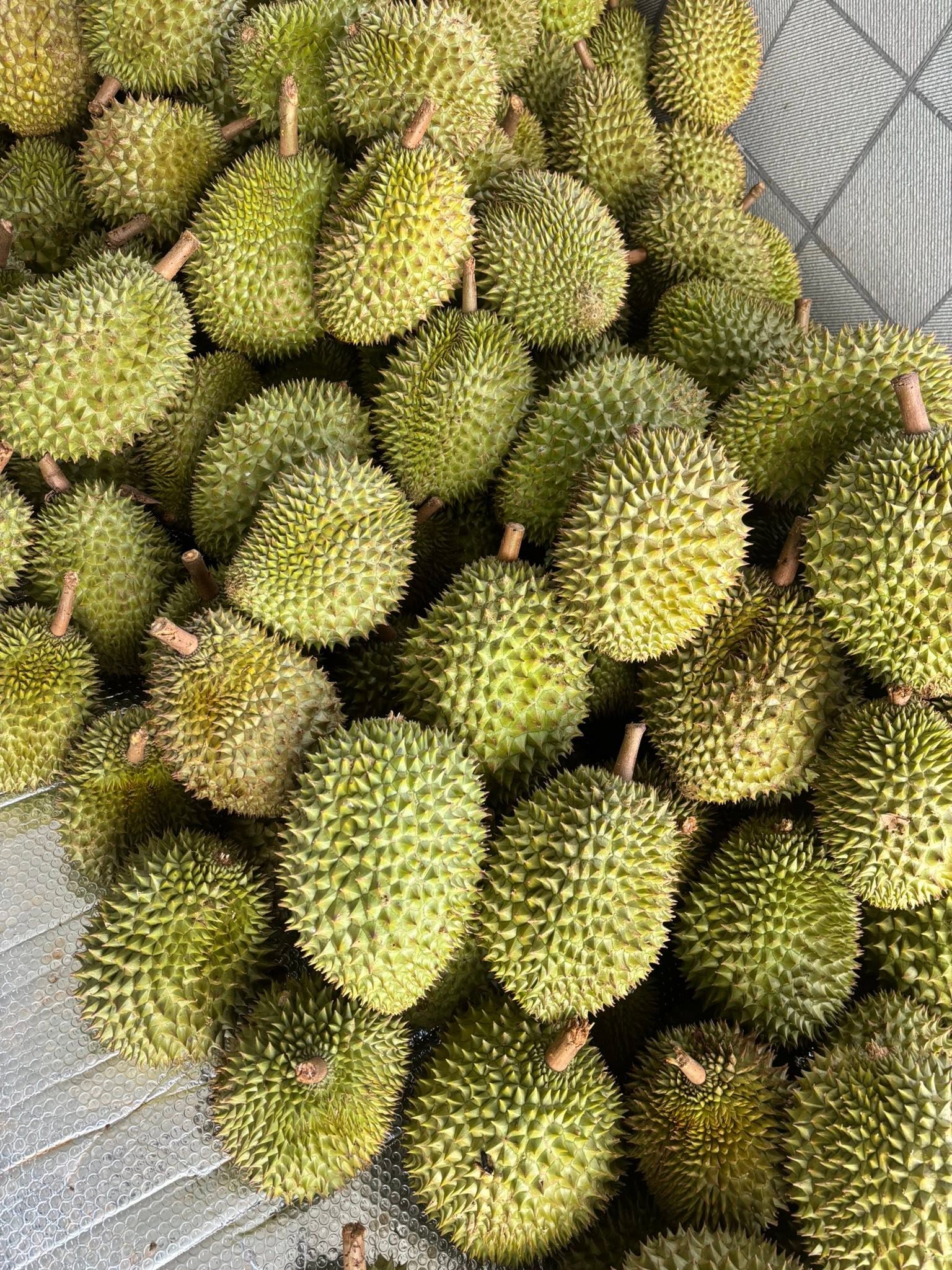 sau rieng