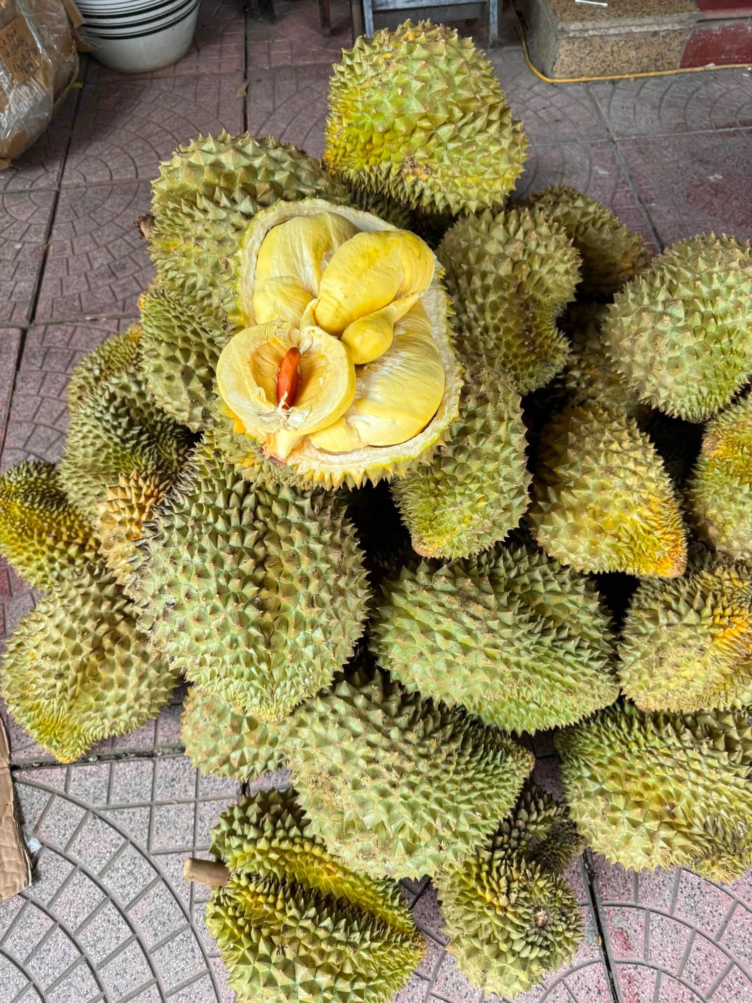 sầu riêng