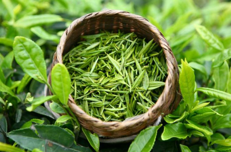 Chè thái nguyên