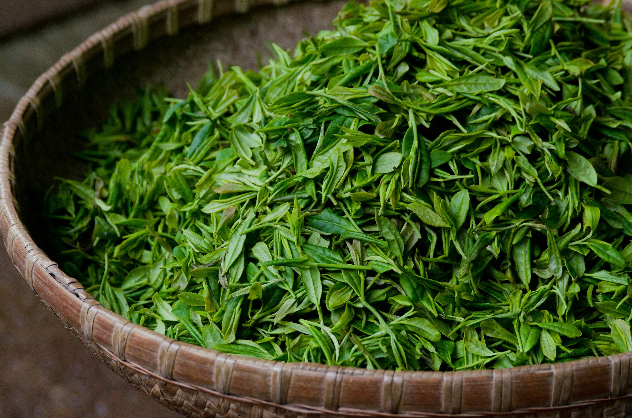 Đại lý trà xanh thái nguyên
