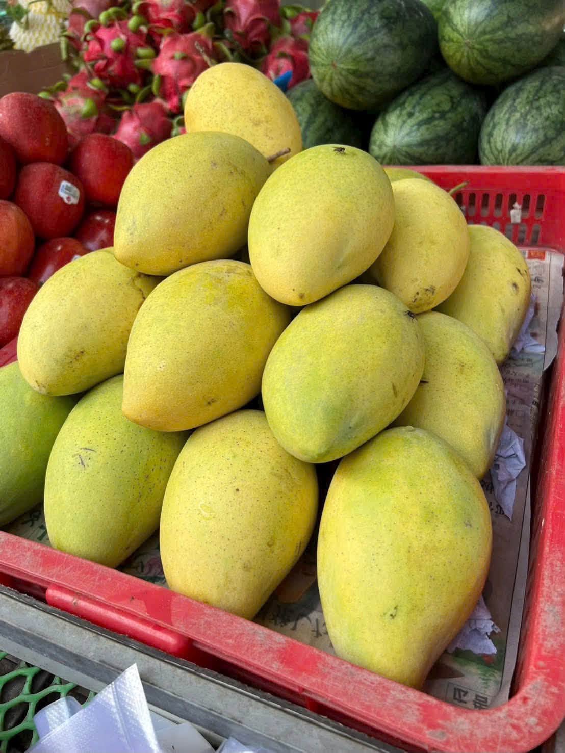 xoài cát hòa lộc